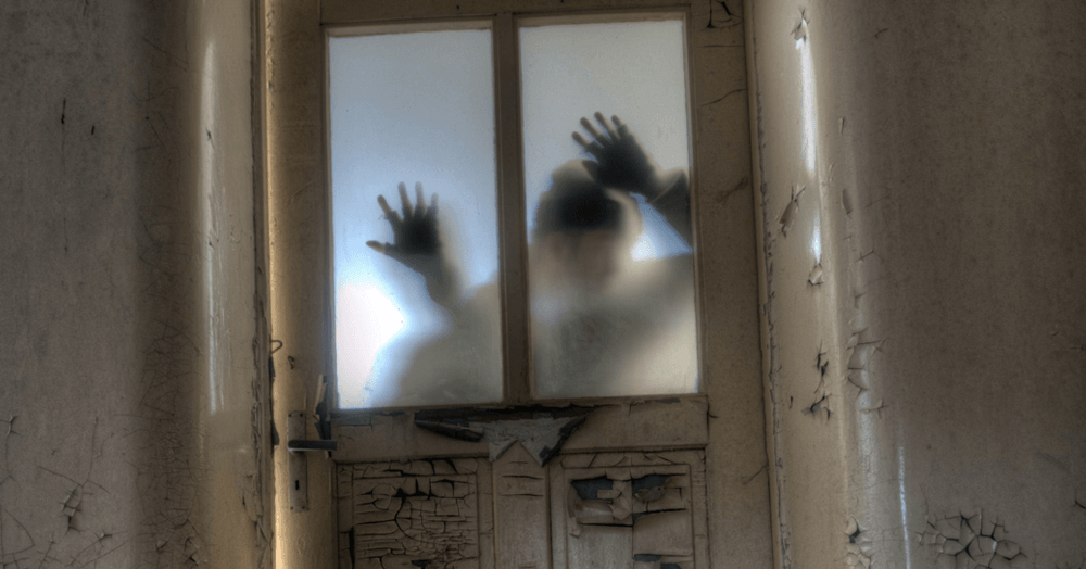 What four things are terrifying landlords in Wembley? What four things are terrifying landlords in Wembley?