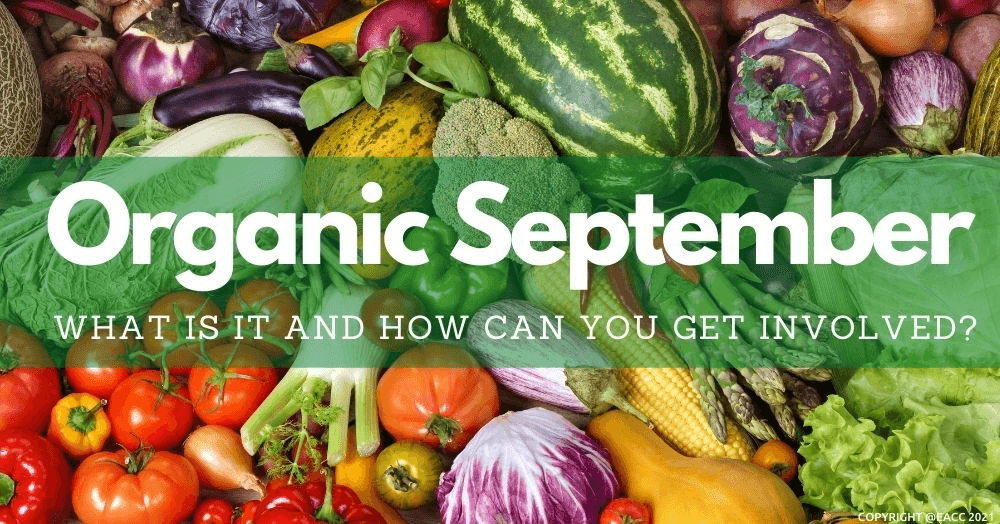 Organic September: What Is It and How Can You Get Involved? Organic September: What Is It and How Can You Get Involved?