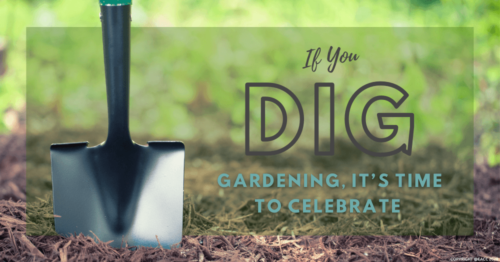 If You Dig Gardening, It’s Time to Celebrate across Wembley If You Dig Gardening, It’s Time to Celebrate across Wembley