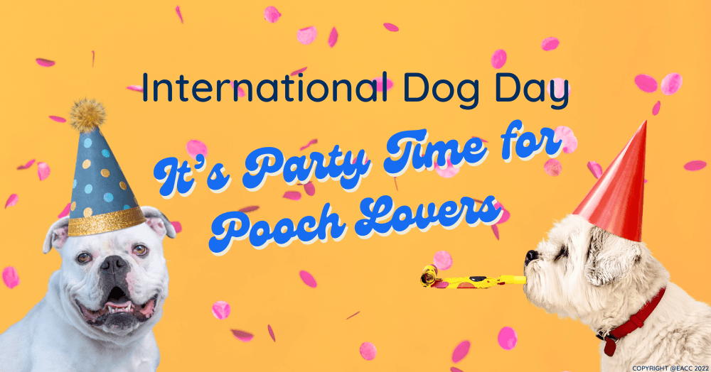 This Love is Fur Real: Celebrating International Dog Day This Love is Fur Real: Celebrating International Dog Day