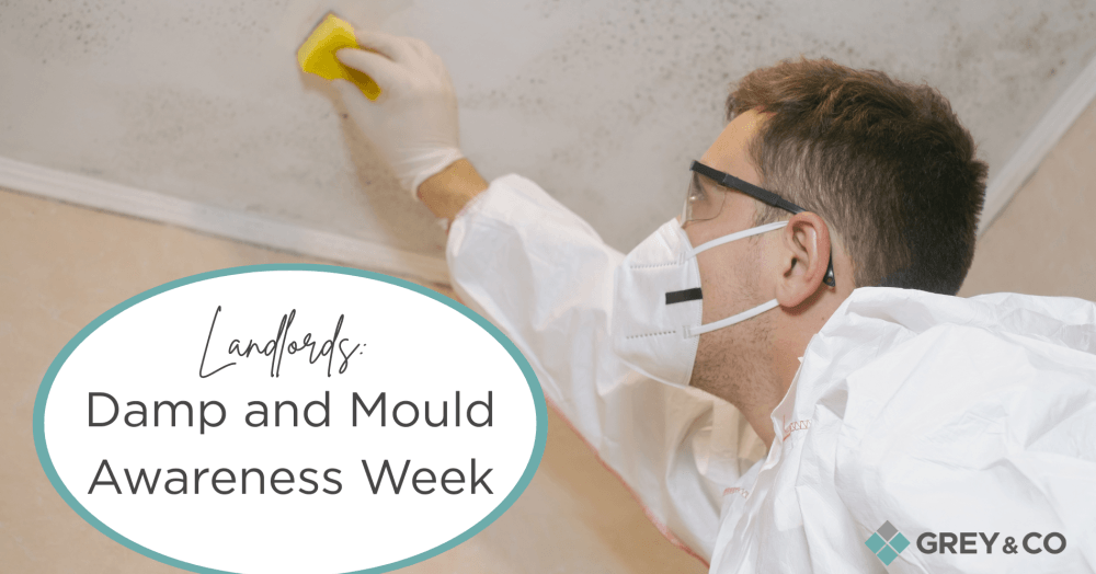 Landlords in Wembley: Damp and Mould Awareness Week Landlords in Wembley: Damp and Mould Awareness Week